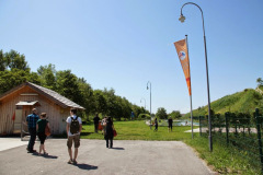 DSC04956
