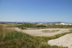 DSC04999