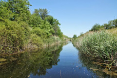 DSC05016