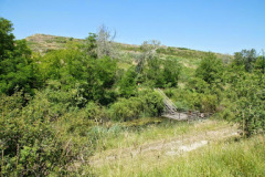 DSC05020