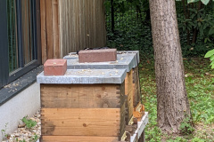 PXL_20220526_130005479