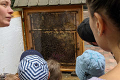 PXL_20220526_130531623