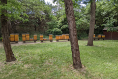 PXL_20220526_130548418