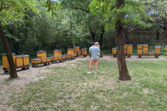 PXL_20220526_130552568