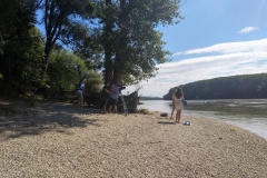 IMG_20200823_104646