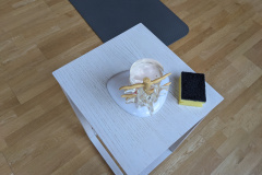 PXL_20230908_163301107
