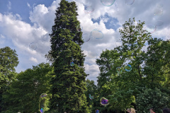 PXL_20230530_143703619