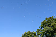 PXL_20220531_144651801