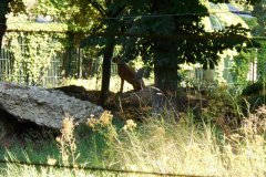 DSCN0073