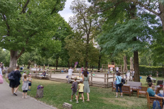 IMG_20230827_135126